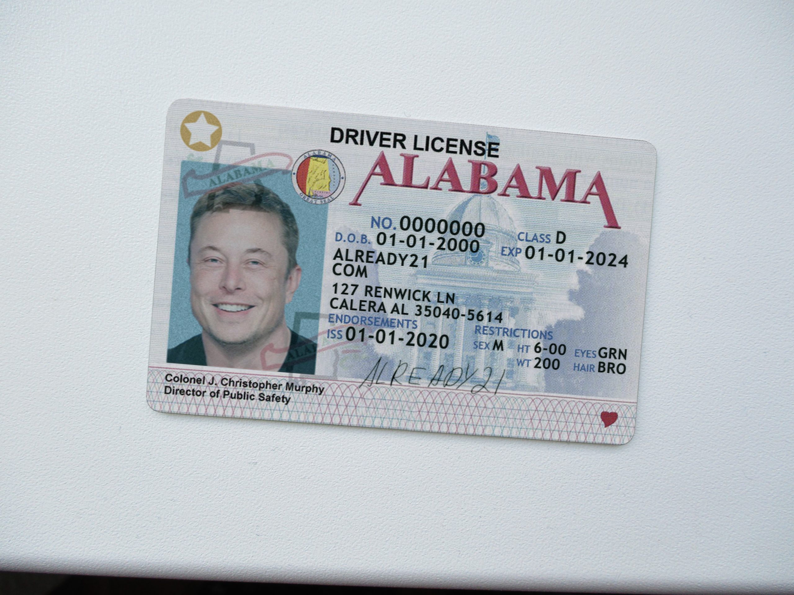 Back to the Future - Fake Drivers License Prop Marty McFly Novelty HIGH  QUALITY - eBay