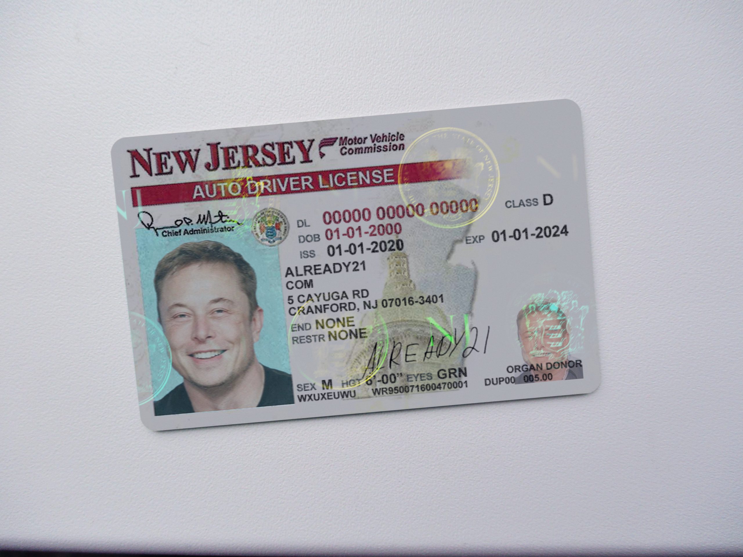 Jersey Shore Vinnie NEW JERSEY NJ Drivers License fake id card Seaside Heights 